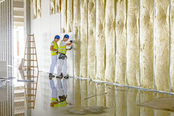 Best Spray Foam Insulation in Elberton, GA